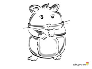 Colorear Hamster. Dibujos de animales domésticos